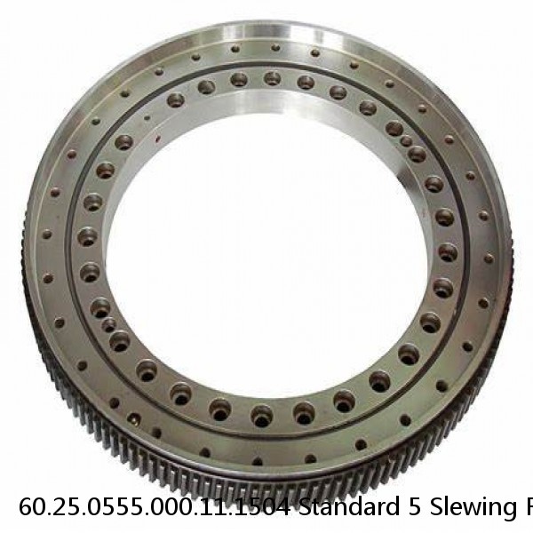 60.25.0555.000.11.1504 Standard 5 Slewing Ring Bearings #1 small image