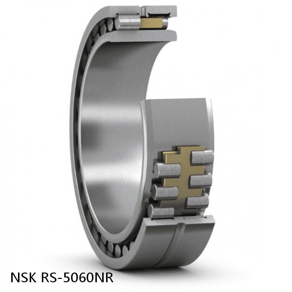 RS-5060NR NSK CYLINDRICAL ROLLER BEARING #1 small image