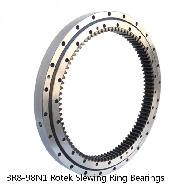3R8-98N1 Rotek Slewing Ring Bearings #1 small image