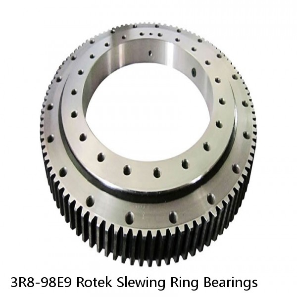 3R8-98E9 Rotek Slewing Ring Bearings #1 small image