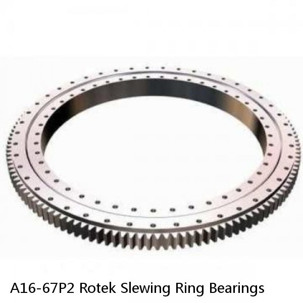 A16-67P2 Rotek Slewing Ring Bearings #1 small image