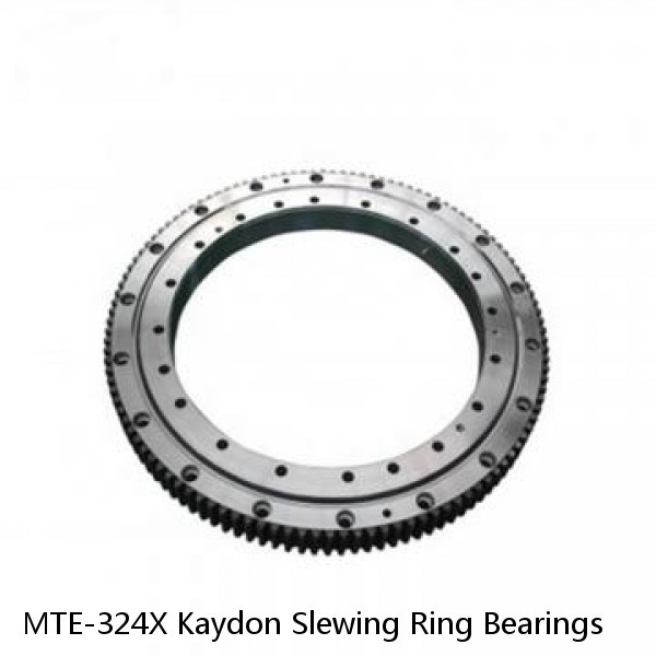 MTE-324X Kaydon Slewing Ring Bearings #1 small image