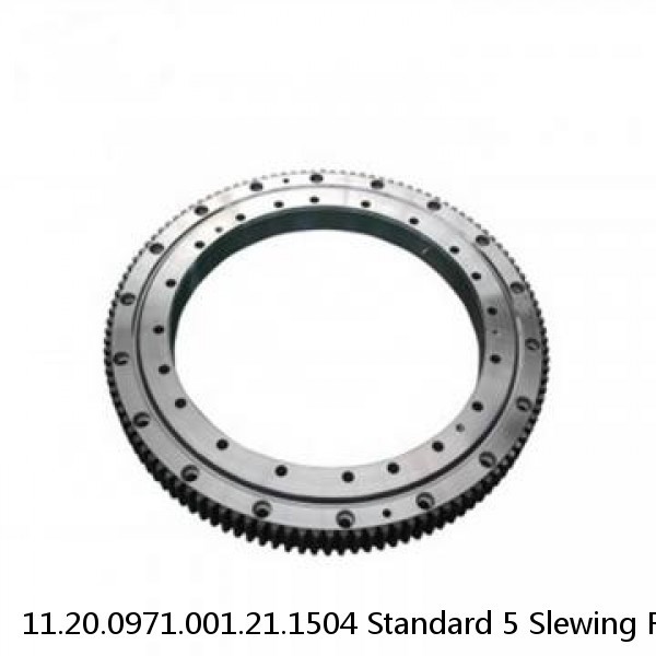 11.20.0971.001.21.1504 Standard 5 Slewing Ring Bearings #1 small image