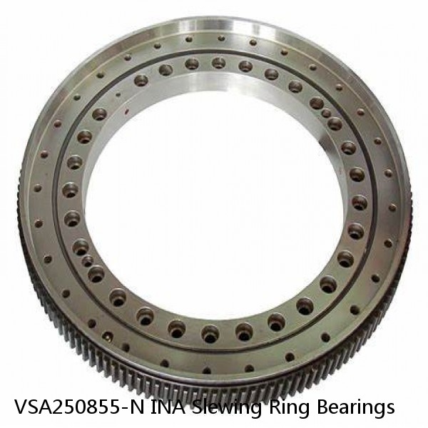 VSA250855-N INA Slewing Ring Bearings #1 image