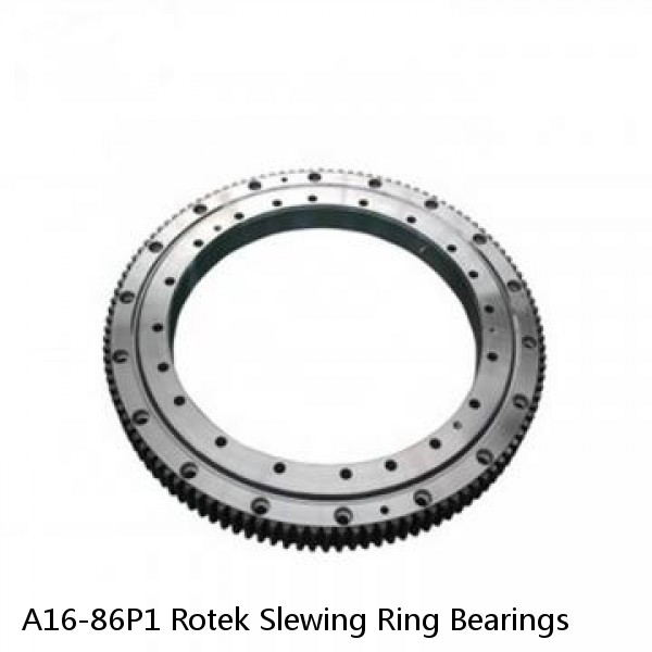 A16-86P1 Rotek Slewing Ring Bearings #1 image