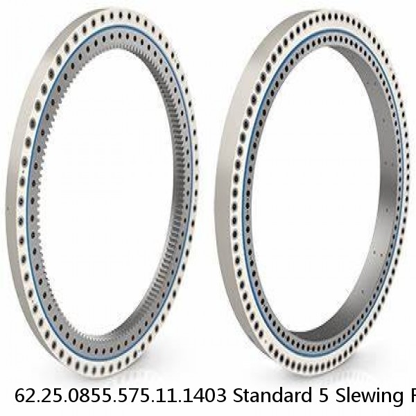 62.25.0855.575.11.1403 Standard 5 Slewing Ring Bearings #1 image