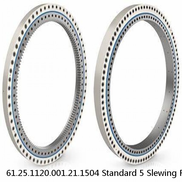 61.25.1120.001.21.1504 Standard 5 Slewing Ring Bearings #1 image