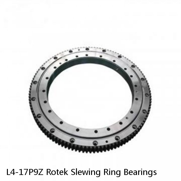 L4-17P9Z Rotek Slewing Ring Bearings #1 image