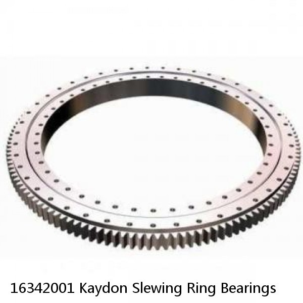 16342001 Kaydon Slewing Ring Bearings #1 image