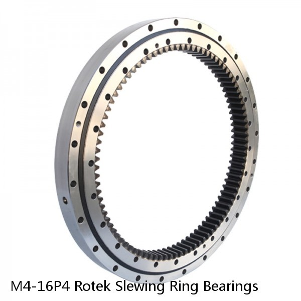 M4-16P4 Rotek Slewing Ring Bearings #1 image