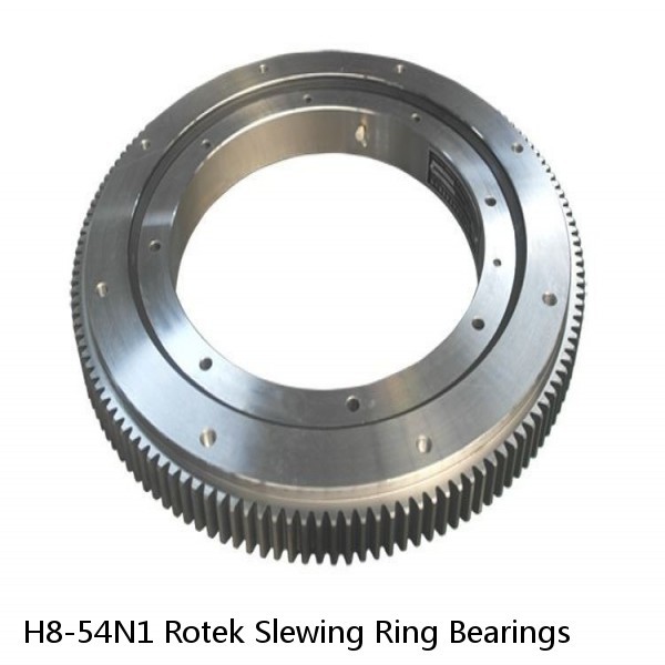 H8-54N1 Rotek Slewing Ring Bearings #1 image