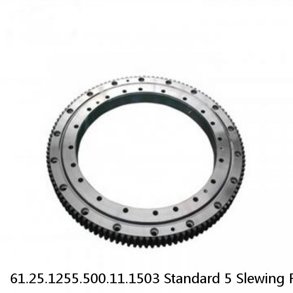 61.25.1255.500.11.1503 Standard 5 Slewing Ring Bearings #1 image